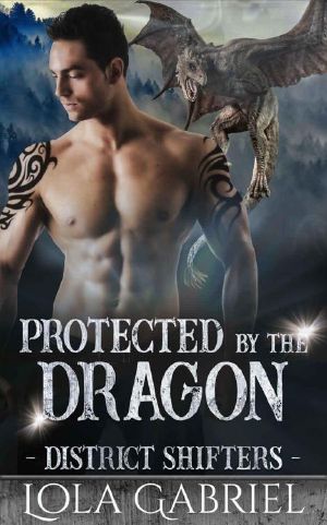 [District Shifters 04] • Protected by the Dragon